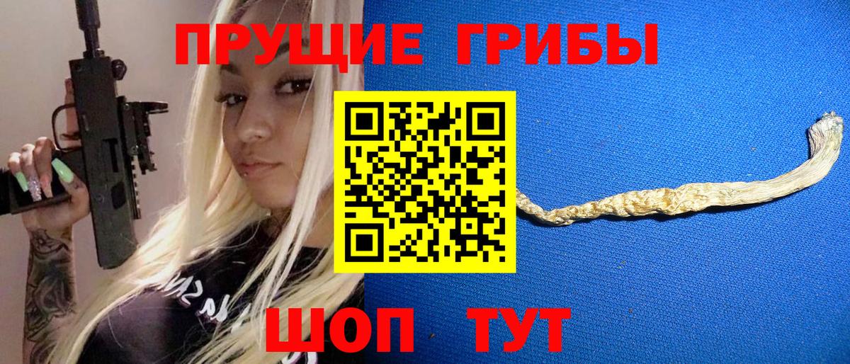 Галлюциногенные грибы Psilocybe Тара