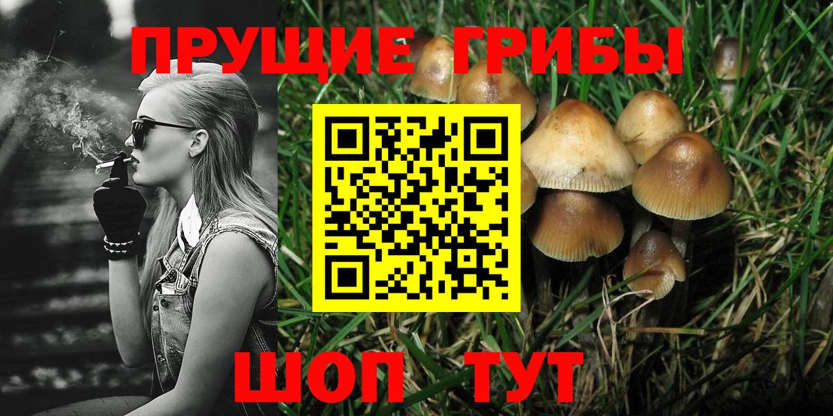 Галлюциногенные грибы Cubensis  Псилоцибиновые грибы Psilocybine cubensis  Тара  Вход с VPN 